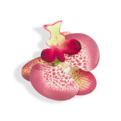 ORCHID FLOWER BURGUNDY